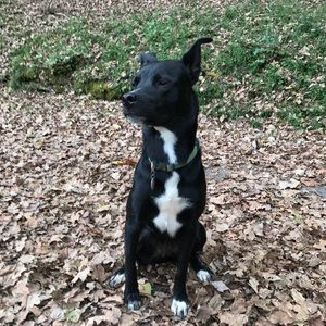 Meet your Posher, Colleen